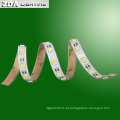 12V LED Strip 60LEDs / M (branco, branco quente, verde, vermelho, azul)